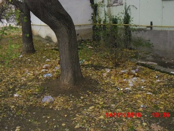 Блюхера,18 (1)